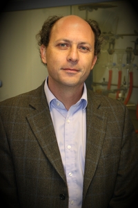 Prof. Nicola Pinna
